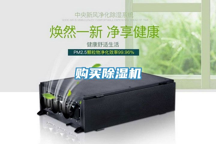 购买91免费网站在线观看