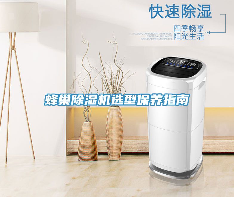 蜂巢91免费网站在线观看选型保养指南