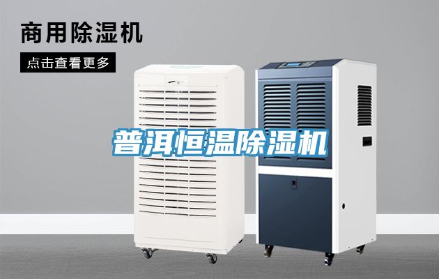普洱恒温91免费网站在线观看