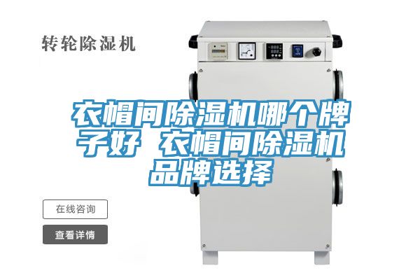 衣帽间91免费网站在线观看哪个牌子好 衣帽间91免费网站在线观看品牌选择