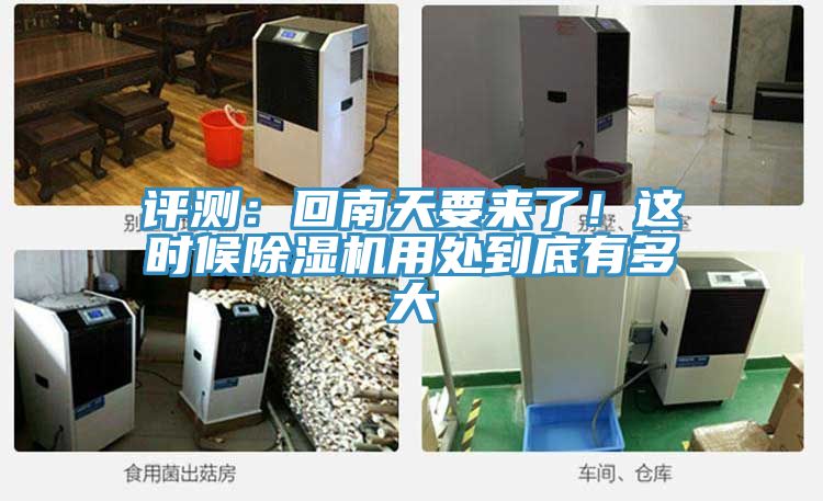 评测：回南天要来了！这时候91免费网站在线观看用处到底有多大