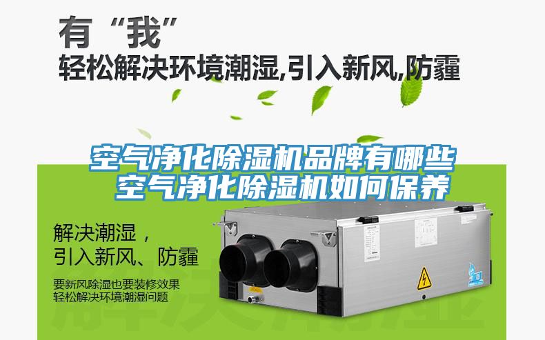 空气净化91免费网站在线观看品牌有哪些 空气净化91免费网站在线观看如何保养