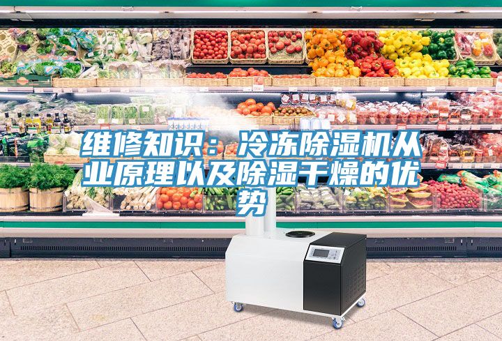 维修知识：冷冻91免费网站在线观看从业原理以及除湿干燥的优势