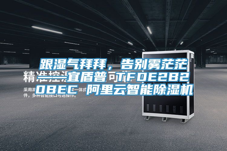 跟湿气拜拜，告别雾茫茫——宜盾普 TFDE2B20BEC 阿里云智能91免费网站在线观看