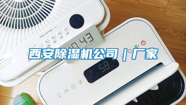 西安91免费网站在线观看公司｜厂家