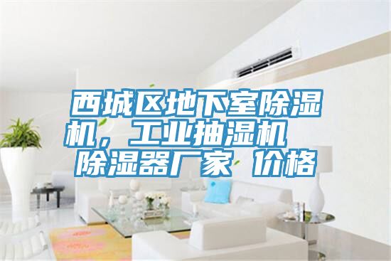 西城区地下室91免费网站在线观看，工业抽湿机  除湿器厂家 价格