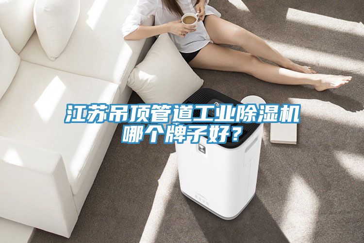 江苏吊顶管道工业91免费网站在线观看哪个牌子好？