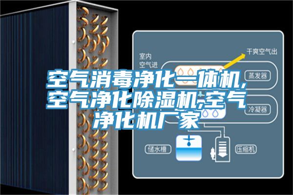 空气消毒净化一体机,空气净化91免费网站在线观看,空气净化机厂家