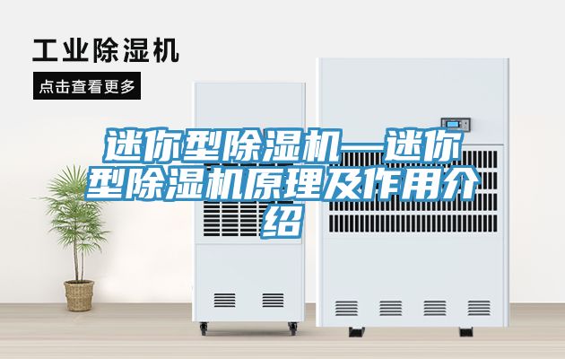 迷你型91免费网站在线观看—迷你型91免费网站在线观看原理及作用介绍