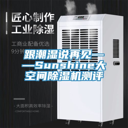 跟潮湿说再见——Sunshine大空间91免费网站在线观看测评