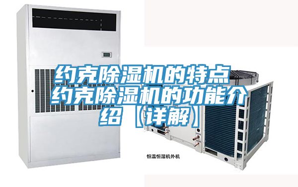 约克91免费网站在线观看的特点 约克91免费网站在线观看的功能介绍【详解】