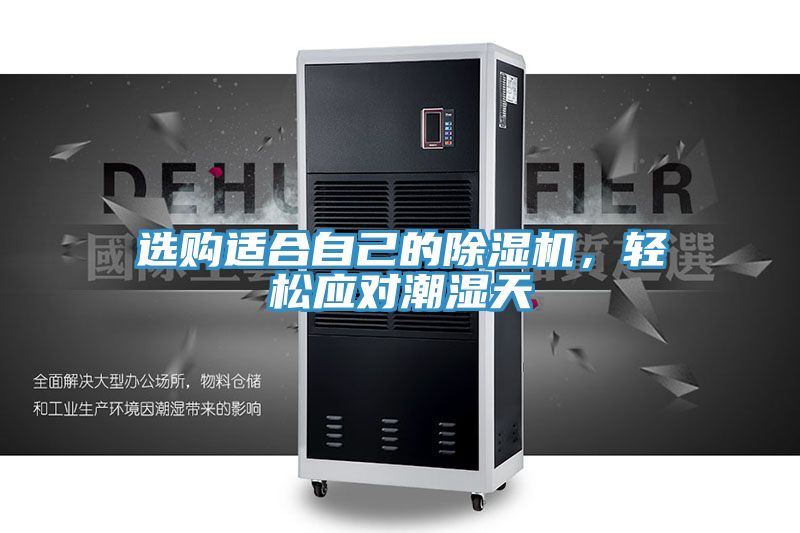 选购适合自己的91免费网站在线观看，轻松应对潮湿天