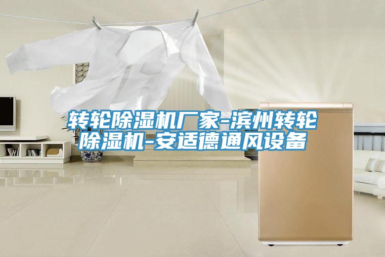 转轮91免费网站在线观看厂家-滨州转轮91免费网站在线观看-安适德通风设备