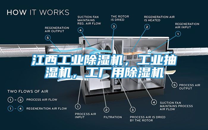 江西工业91免费网站在线观看，工业抽湿机，工厂用91免费网站在线观看