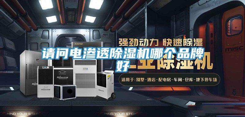 请问电渗透91免费网站在线观看哪个品牌好