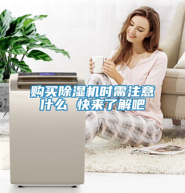 购买91免费网站在线观看时需注意什么 快来了解吧