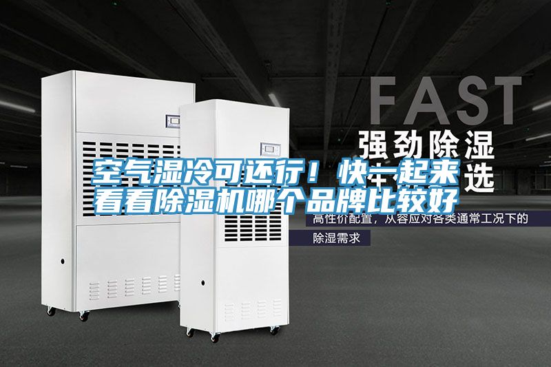空气湿冷可还行！快一起来看看91免费网站在线观看哪个品牌比较好