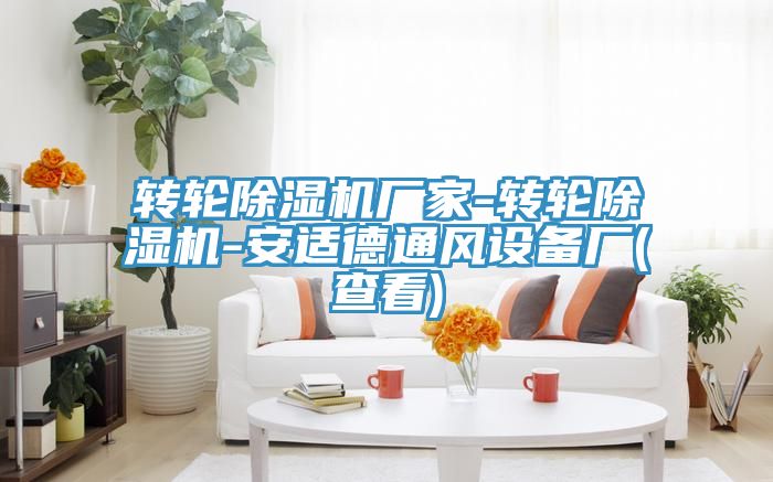 转轮91免费网站在线观看厂家-转轮91免费网站在线观看-安适德通风设备厂(查看)