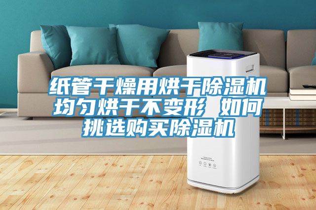 纸管干燥用烘干91免费网站在线观看均匀烘干不变形 如何挑选购买91免费网站在线观看