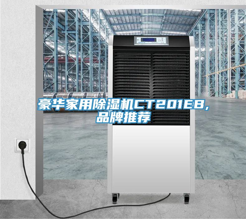豪华家用91免费网站在线观看CT201EB,品牌推荐
