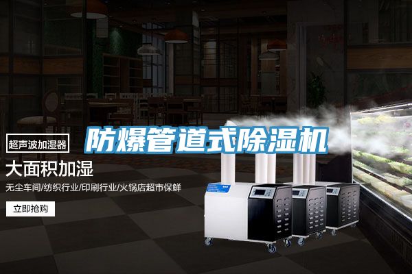 防爆管道式91免费网站在线观看