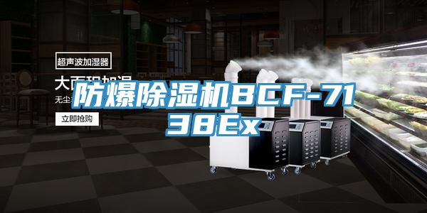 防爆91免费网站在线观看BCF-7138Ex