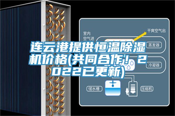 连云港提供恒温91免费网站在线观看价格(共同合作！2022已更新)