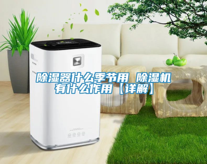 除湿器什么季节用 91免费网站在线观看有什么作用【详解】