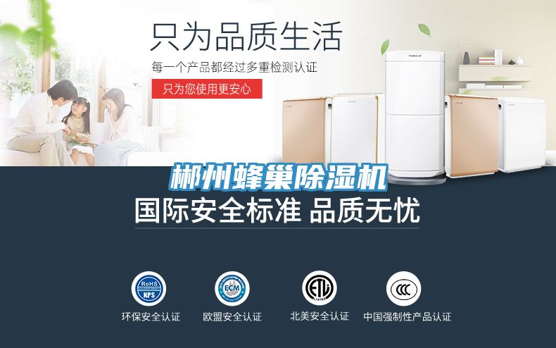 郴州蜂巢91免费网站在线观看