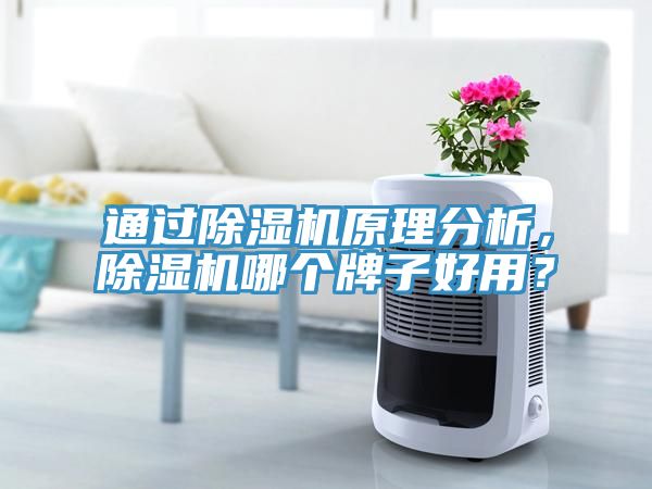 通过91免费网站在线观看原理分析，91免费网站在线观看哪个牌子好用？
