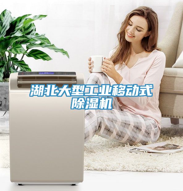 湖北大型工业移动式91免费网站在线观看