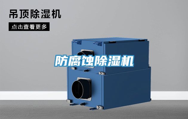 防腐蚀91免费网站在线观看