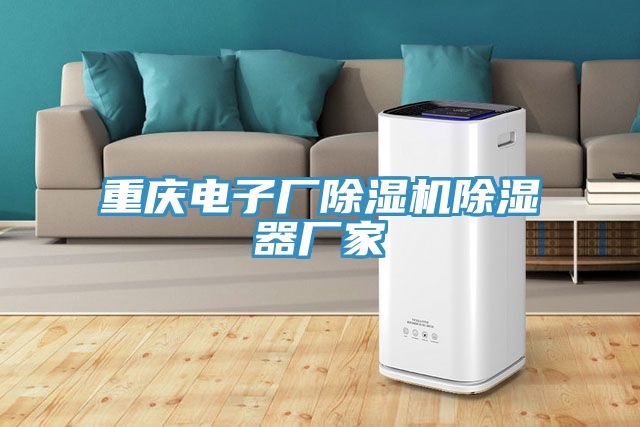 重庆电子厂91免费网站在线观看除湿器厂家