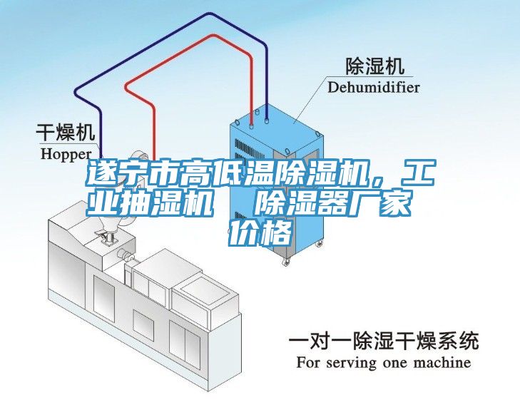 遂宁市高低温91免费网站在线观看，工业抽湿机  除湿器厂家 价格