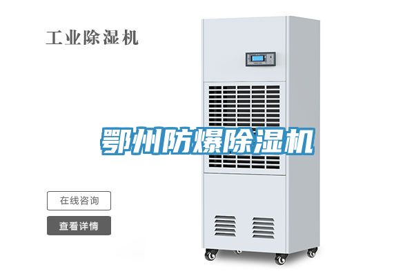 鄂州防爆91免费网站在线观看