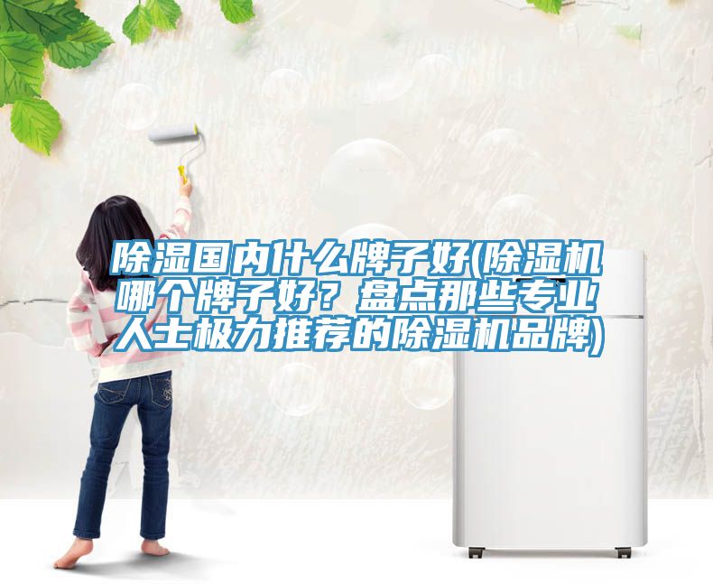 除湿国内什么牌子好(91免费网站在线观看哪个牌子好？盘点那些专业人士极力推荐的91免费网站在线观看品牌)
