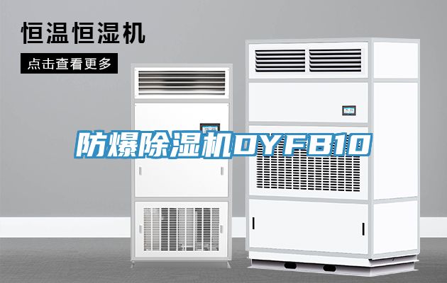 防爆91免费网站在线观看DYFB10