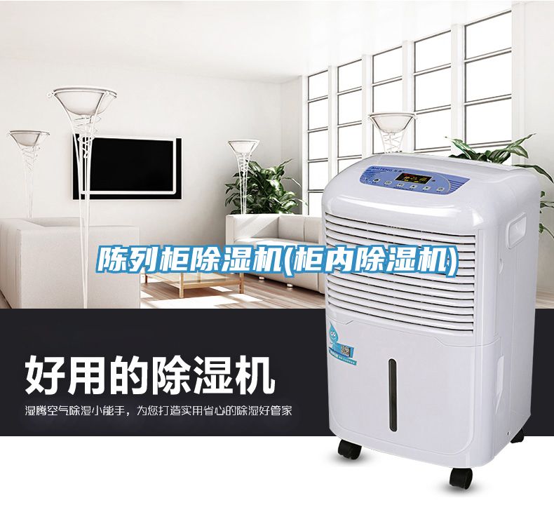 陈列柜91免费网站在线观看(柜内91免费网站在线观看)