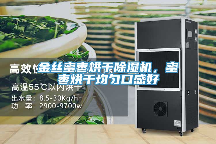 金丝蜜枣烘干91免费网站在线观看，蜜枣烘干均匀口感好