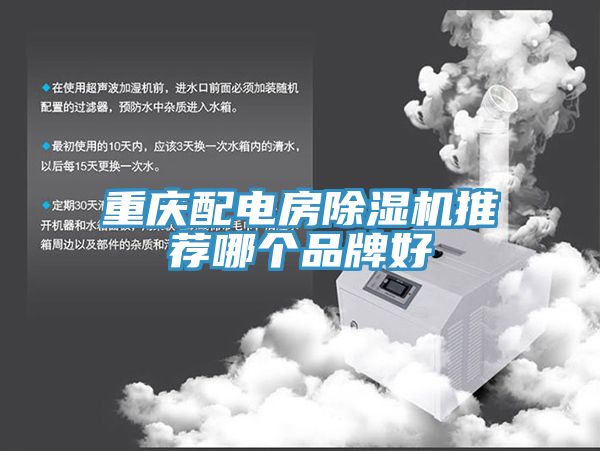 重庆配电房91免费网站在线观看推荐哪个品牌好
