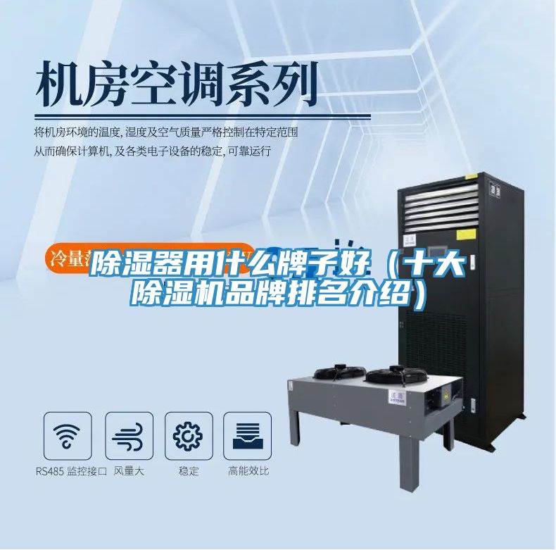 除湿器用什么牌子好（十大91免费网站在线观看品牌排名介绍）