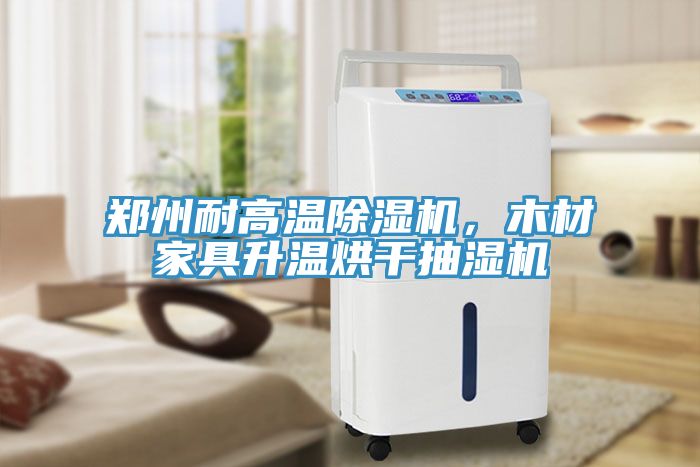 郑州耐高温91免费网站在线观看，木材家具升温烘干抽湿机