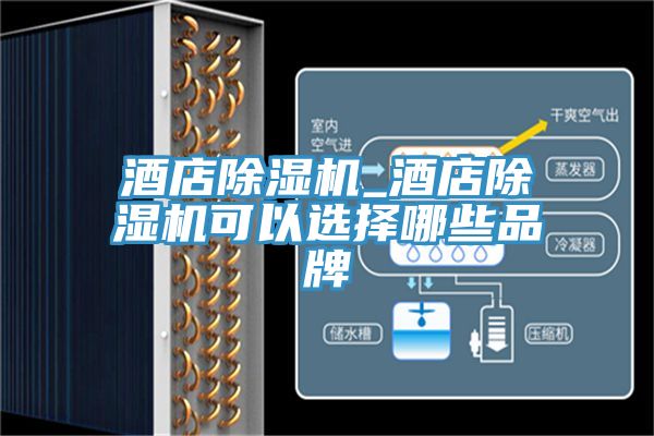 酒店91免费网站在线观看_酒店91免费网站在线观看可以选择哪些品牌