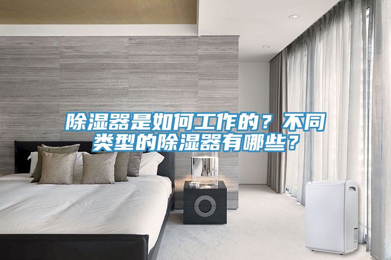 除湿器是如何工作的？不同类型的除湿器有哪些？