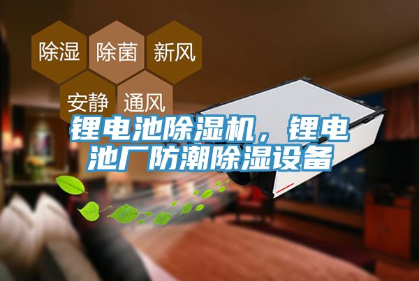 锂电池91免费网站在线观看，锂电池厂防潮除湿设备