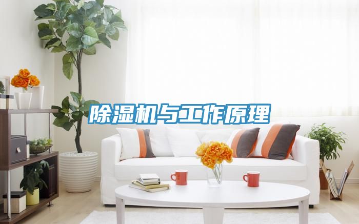 91免费网站在线观看与工作原理