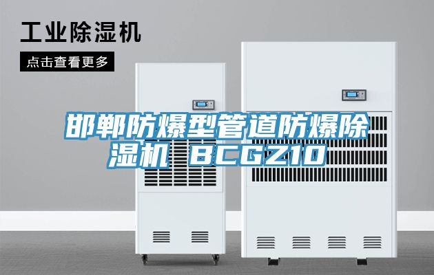 邯郸防爆型管道防爆91免费网站在线观看 BCGZ10