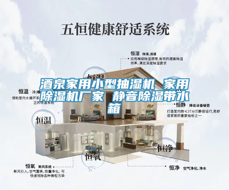 酒泉家用小型抽湿机 家用91免费网站在线观看厂家 静音除湿带水箱