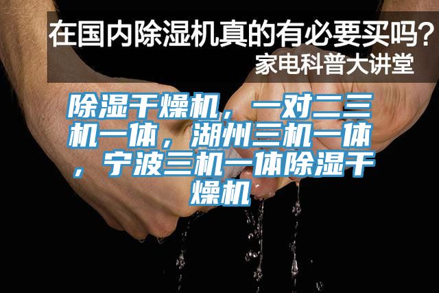 除湿干燥机，一对二三机一体，湖州三机一体，宁波三机一体除湿干燥机