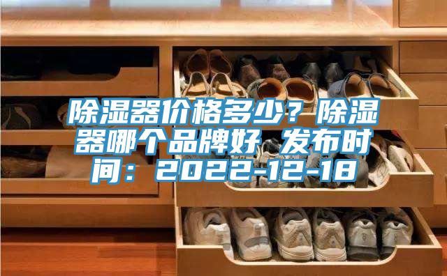 除湿器价格多少？除湿器哪个品牌好 发布时间：2022-12-18